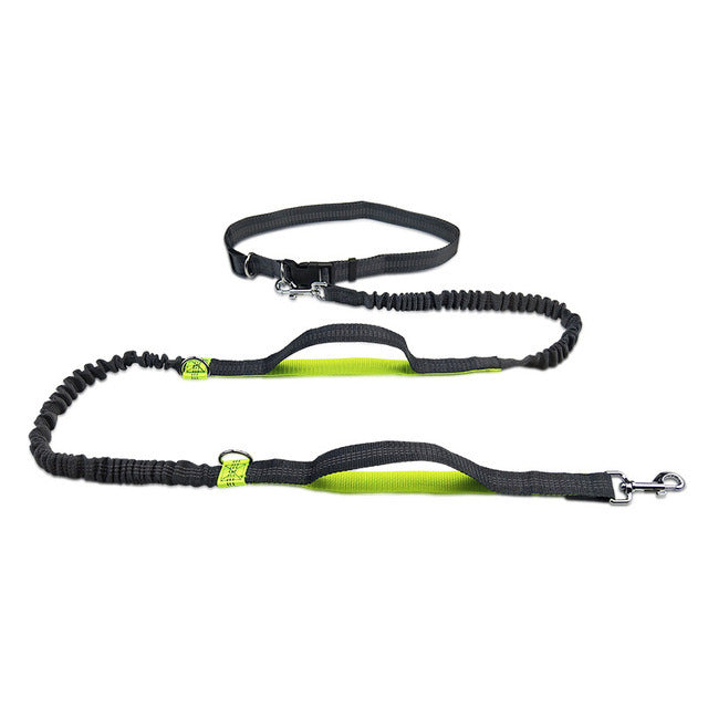 Adjustable Jogging Pet Harness Leash: The Perfect Companion for Active Pets